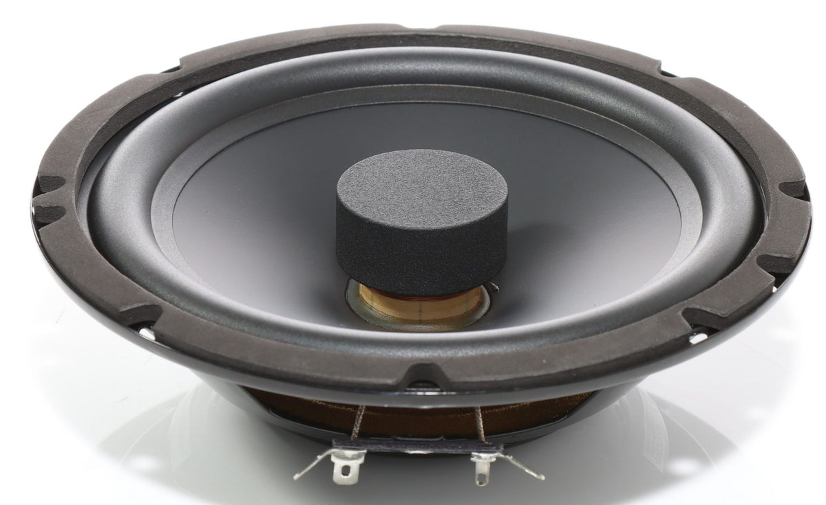 X165 FL EVO3 – Audio System