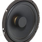 AS165 FLAT EVO2 – Audio System