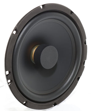 AS165 FLAT EVO2 – Audio System