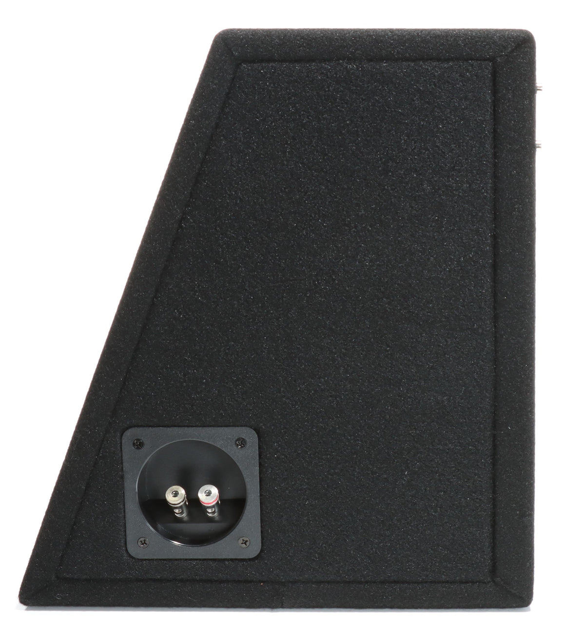 G10 EVO – Audio System
