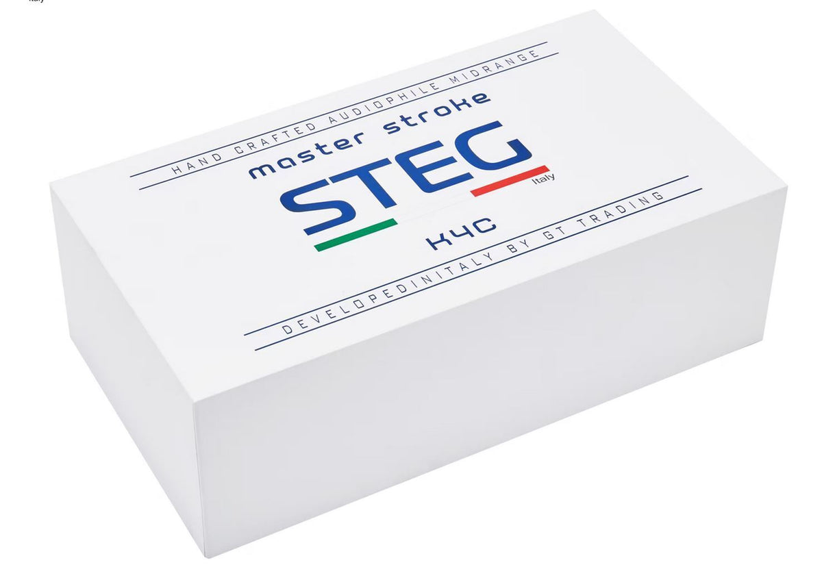 STEG K4c – 4 Zoll Mitteltöner – Ansicht 3