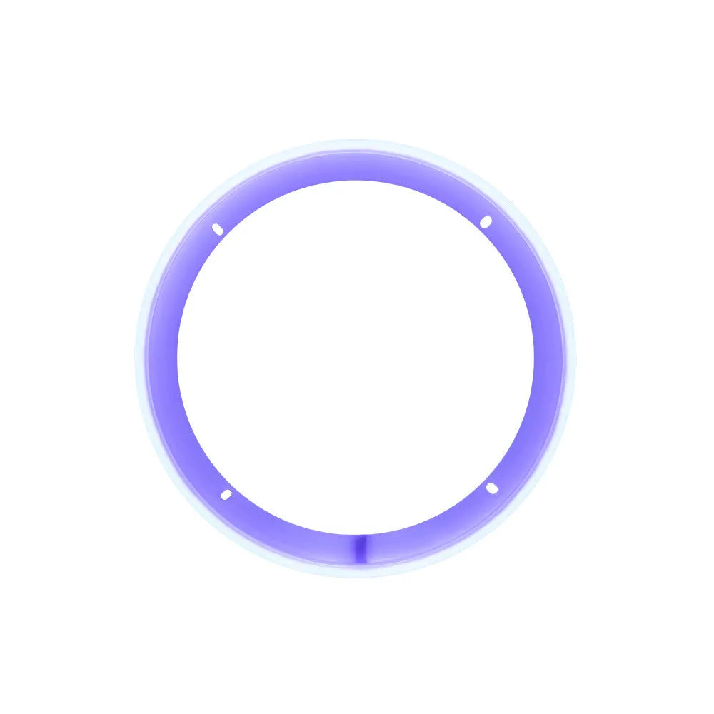 LED RGB Light Ring 8″-Lautsprecherring-DD Audio-BassBuddys | Shop