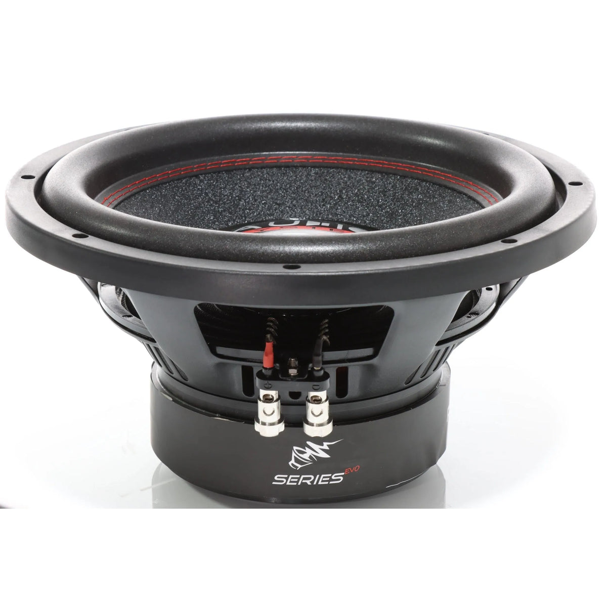 R 12 EVO-12 Zoll Subwoofer-Audio System-BassBuddys | Shop