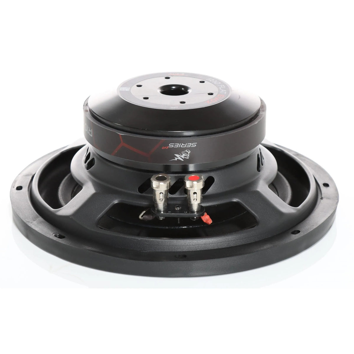 R10 FLAT EVO 3-10 Zoll Subwoofer-Audio System-BassBuddys | Shop