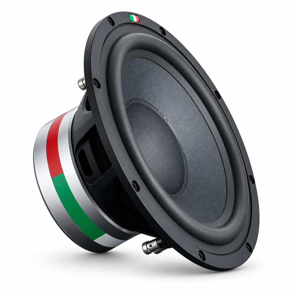 STEG SS10 – 10 Zoll Subwoofer