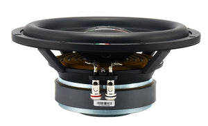 STEG ST10 – 10 Zoll Subwoofer