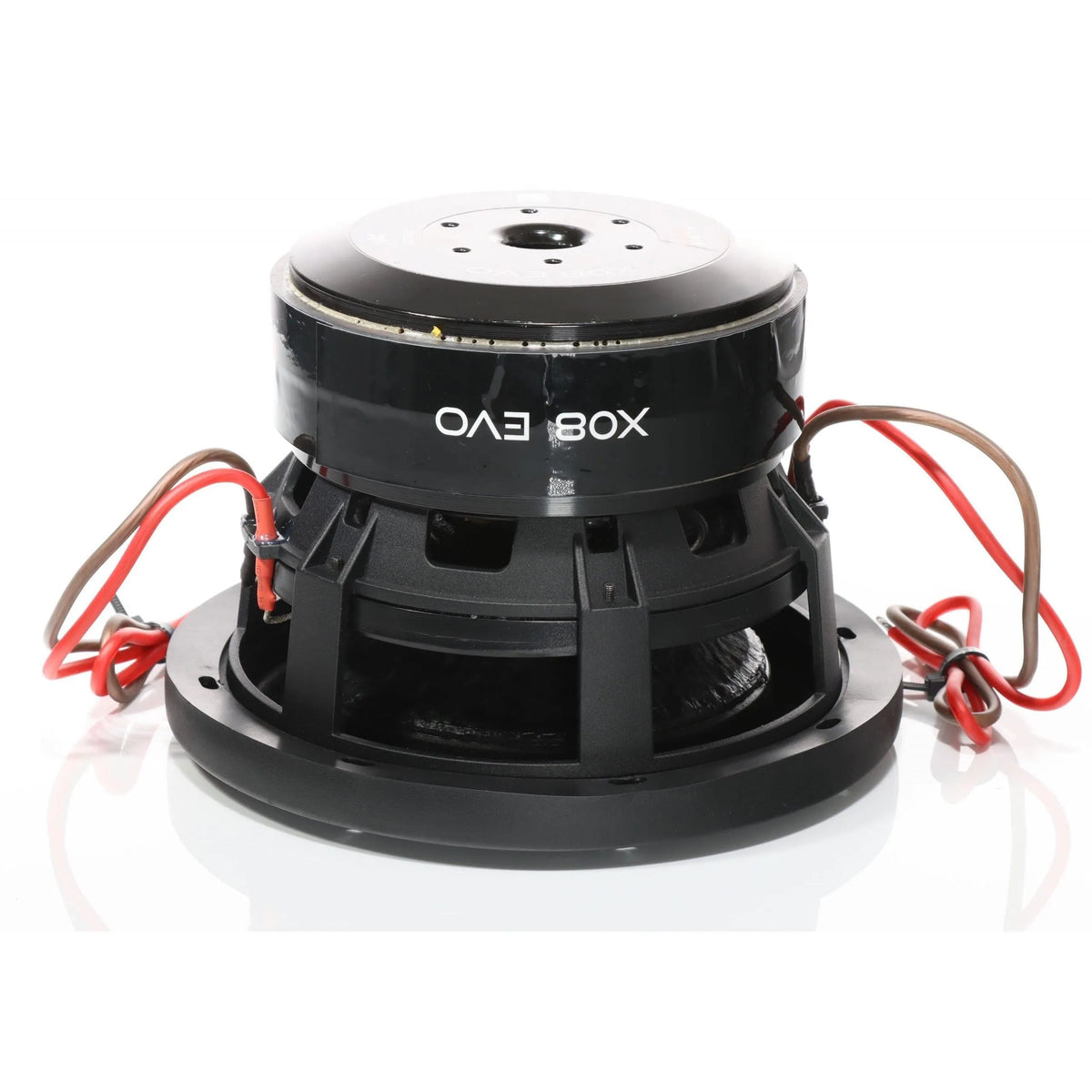 X08 EVO-8 Zoll Subwoofer-Audio System-BassBuddys | Shop