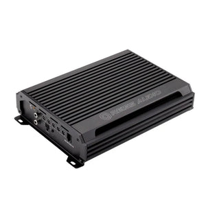 RS-W1000.1D